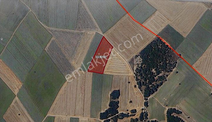 Turyap Çorlu Hürriyet Ten Velimeşede 9.271 M2 Satılık Tarla