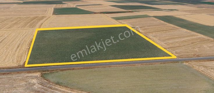 Turyaptan Muratlı Yukarısevindikli De 42.600 M2 Satılık Tarla