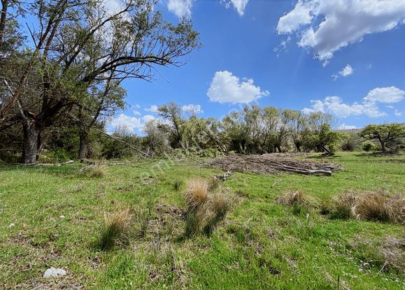 Fırsattt Meram Saglık Ta 2281 Mt Tek Tapu Yolu Olan Tarla