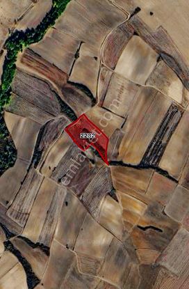 Emlakyap Tan Kırklareli Kavaklı Da 12300m2 Satılık Tarla