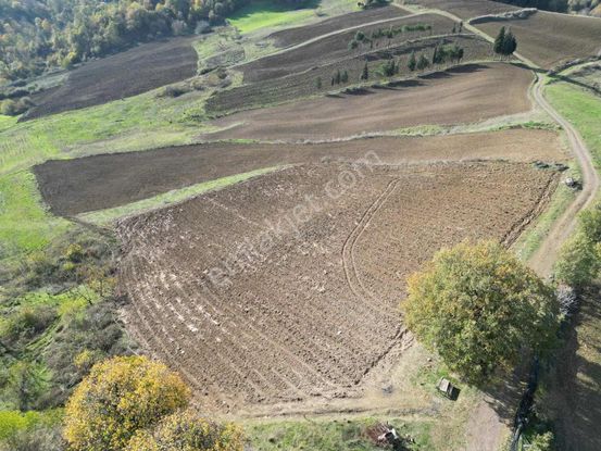 Blue Yatırım'dan Çukurköy'de Resmi Yollu Deniz Manzaralı Tarla