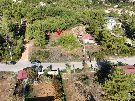 Seyrantepe'de 608m² Çam Ağaçlarının İçinde Müstakil Arsa (elektrik Ve Su Mevcut)