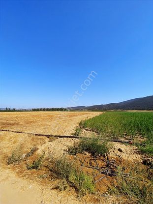Gökçeyazıda Satılık Yatırımlık Veya Hobi Bahçesi İçin Tarla