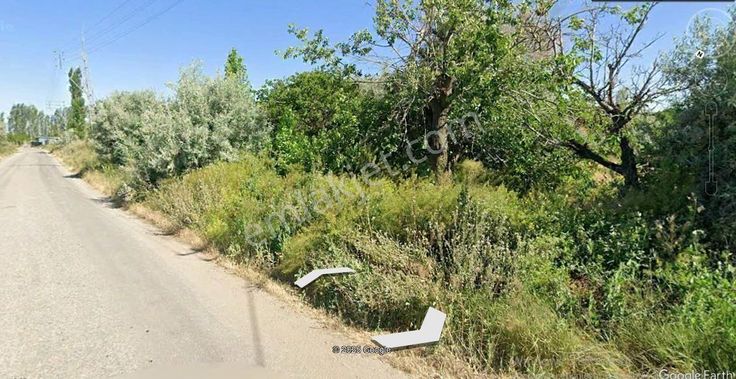 Yeşilhisar Hacılımezarlığı Mevki İçinde Evi Olan Satılık Tarla