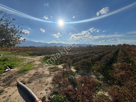 Tc Emlaktan Satılık 10.500 M2 Fırsat Tarla 6 Lıksu !