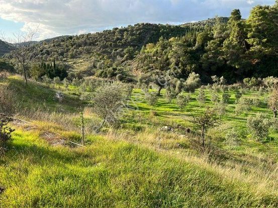 019 Köy Merkezine Yakın İçinde Evi Olan Arazi