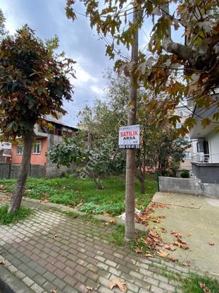 Ekşioğlu Gyd'den 225m2 Bitişik Nizam Satılık Arsa