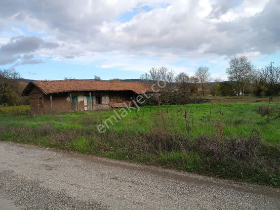 Buse Emlaktan Kalkım Bölgesinde 40 Dönüm Tarla