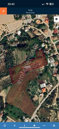 Yavrudoğan Mahallesinde Satılık Tarla