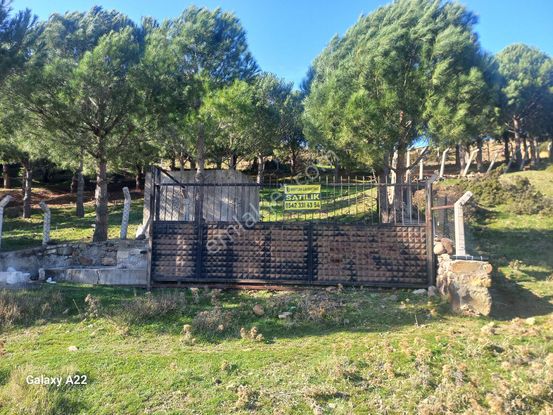 Görgülü*gayrimenkulden*ayvalık*cakmakta*satılık*bag*bahce*satılık**