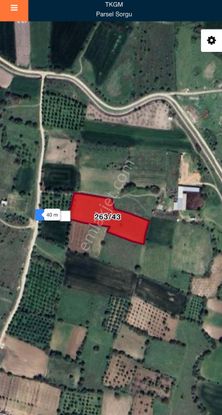 Balkesir Pamukçu'da 5.5 Dönüm Müstakil Tapulu Yatırım Arazisi