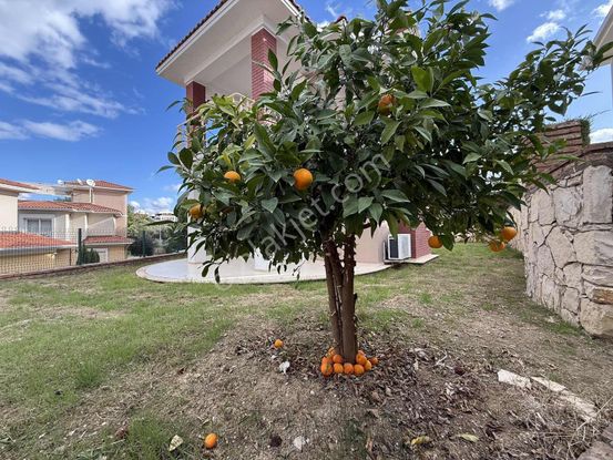 Güvenlikli Site Tek Müstakil İstenirse Özel Havuz Yapılabilir