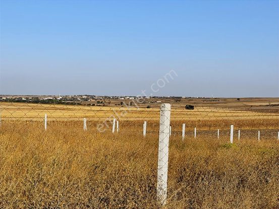 Tekirdağ Ergene Misinli De 310 M2 Satılık Arsa Takasa Açık