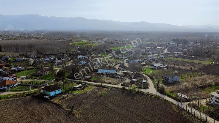 Yön Group'tan Kabakulak'ta Satılık Kavaklık