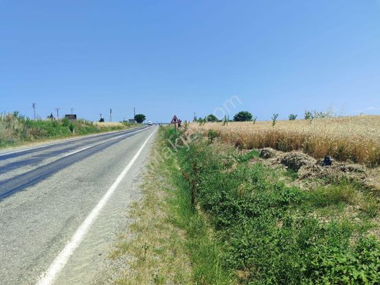 Evrenli Köyü'nde Ana Yola Cephe Satılık 260 M² Hisse Kaçırmayın!