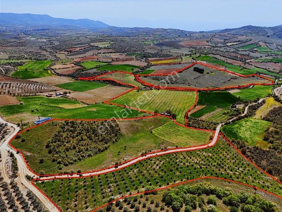 Salihli'de Satılık 159 Dönüm Arazi (elektrik-su Mevcut)