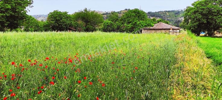Gördes'te Satılık Merkeze Yakın 20 Dönüm Düz Tarla