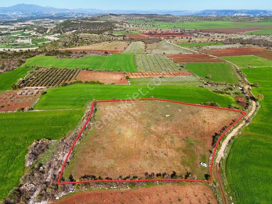 Kula'da Satılık 14250 M2 Düz Tarla (video)