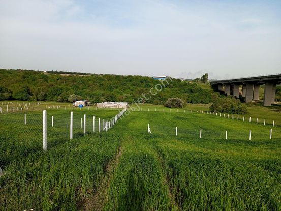 Silivri Büyükçavuşluda Satılık Tarla