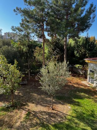 Beyazevler Büyük Park Yanı Satılık 3+1 Daire