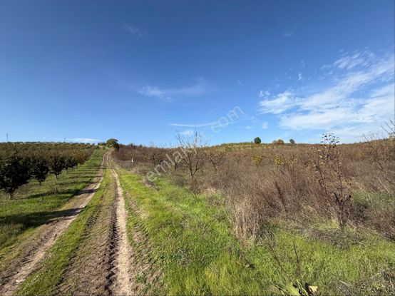 Osmangazi Avdancık’da Satılık Meyve Bahçesi