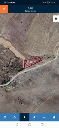 Gesi Büyük Bürüngüzde 3100m2 Bağımız Satlıktır.