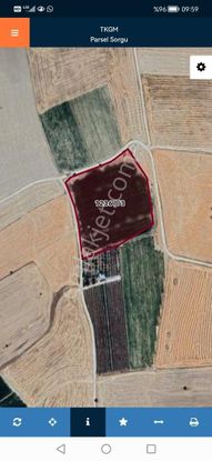 Gesi Büyük Bürüngüzde 15.000m2 Üç Yol Ağzı Tarlamız Satılıktır