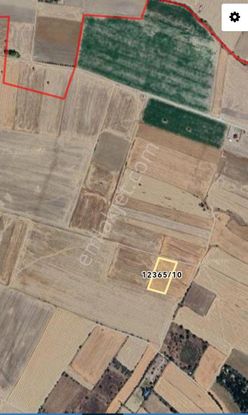 Gesi Büyük Bürüngüzde 4260m2 Tek Tapu Tarla Satılıktır