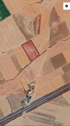 Ağırnas Çakmaklı Mevki Güzel Konumlu Tarla