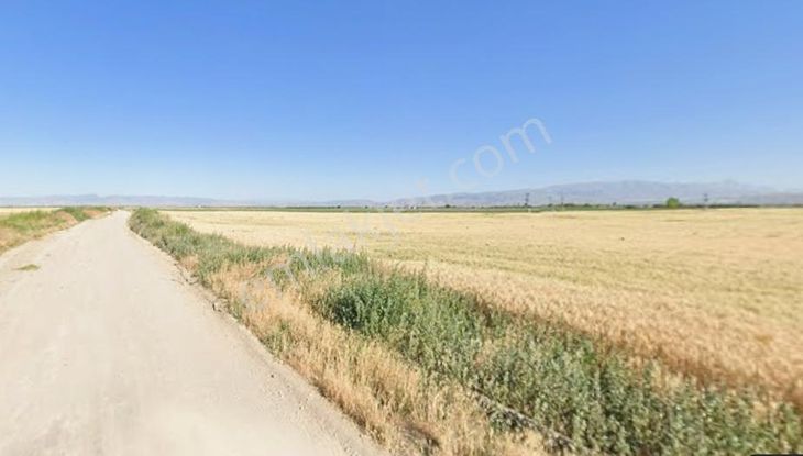 Türkiyem Gyo// Yeşilhisar'da 1.118 M2 Tek Tapu Satılık Bağ