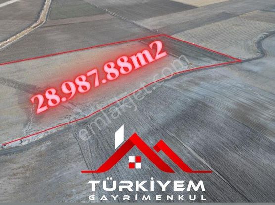 Türkiyem Gyo// Anayol Yakını Tek Tapu Uygun Fiyatlı Tarla