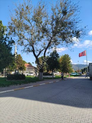 Altınova Merkezde Cadde Üzerinde Önü Açık Geniş Satılık 3+1