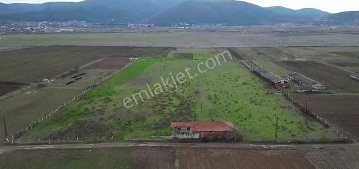 Balıkesir İvrindi Gökçeyazıda Satılık Çiftlik 31 Dönüm