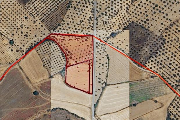 Rw Nefes'ten Burhaniye Şahinler Asfalt Yola Cepheli Zeytinlik