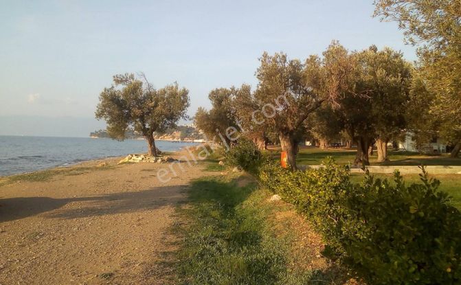 Rw Nefes'ten Pelitköy Sahilde Plaja 85 Mt Mesafede İmarlı Arsa