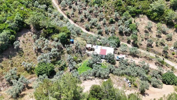 Novas Gayrimenkul'den Armutlu'da Satılık Tek Tapu Arazi