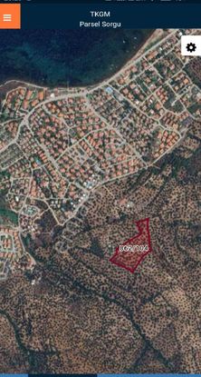 Balıkesir Ayvalık Sakarya"da Satılık Deniz Manzaralı 12.342m2 İmara Yakın Harika Zeytinlik