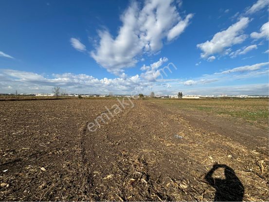 Ayrancılar’da Satılık 5000 M2 Tek Tapu Tarla 55 M Yol Cepheli