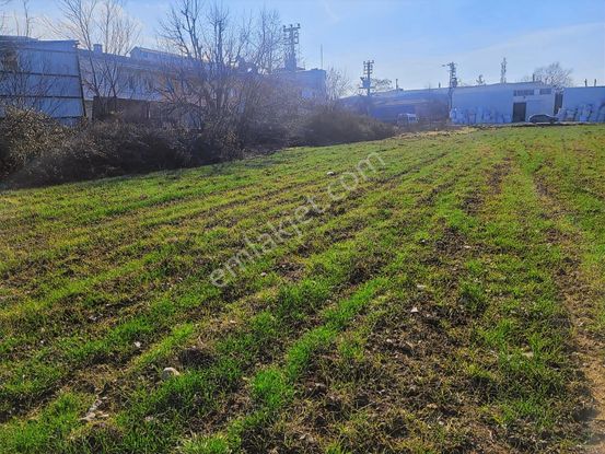 Çalı Da Sanayi İmarlı 3614 M2 Tek Tapu Arsa