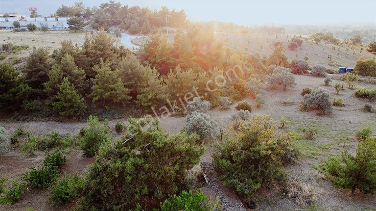 Kemalpaşa Gölet Yanı Satılık 38 Dönüm Arazi