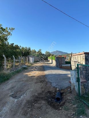 Kemalpaşa Armutlu'da Çarşıklı Mevkinde Satılık 4523 M2 Bahçe