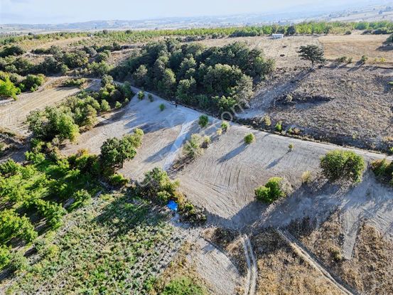 Blue Life Elit'den Yenişehir Akbıyık'da Satılık Hobi Bahçesi