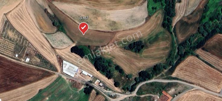 Çorlu Şahpaz'da 6.650 M² Kadastral Yola Cephe Yatırımlık Tarla