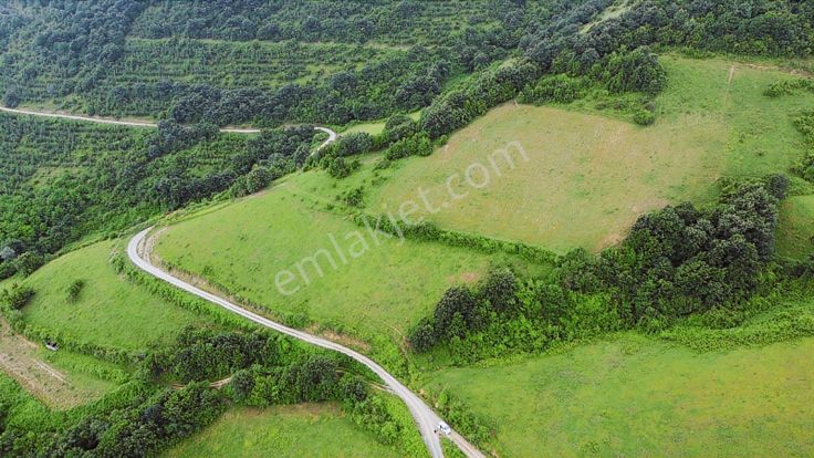 Canik-kızıloğlak'ta 2888 M² Kaçırılmayacak Acil Fırsat Tarla !!!