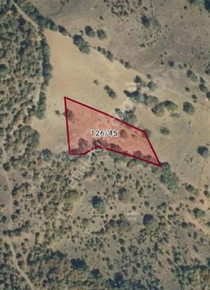 Sahibinden Acil Satılık Tarla