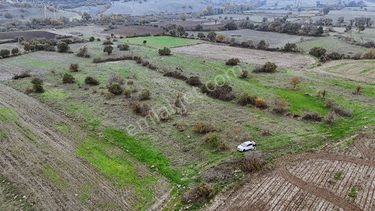 Balnova Dan Bigadiç Emirler 1.769 M2 Kadastra Yol Cepheli Tarla