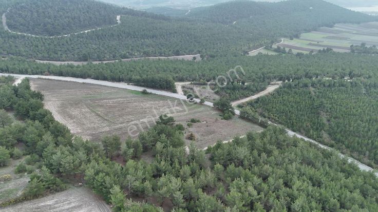 Balnovadan Bigadiç Yolbaşı 1.507 M2 Asfalt Yol Cepheli Tarla