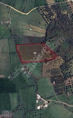 Vizyon Gayrimenkul'den Manisa Osmancalı Mah. Satılık Hisseli Tarla