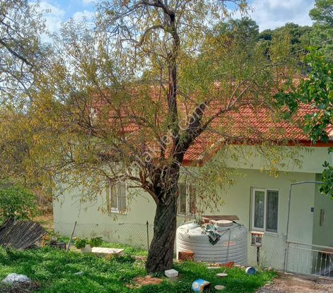 Joker: Söğüt Müstakil Bahçeli 2+1 Eşyalı Ev Kiralık