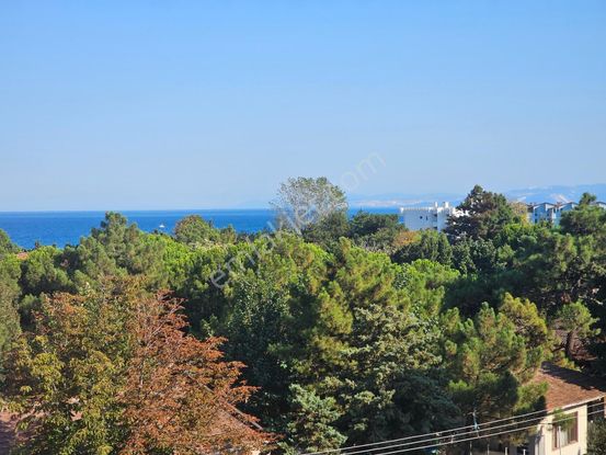 Kumbağ Mah. Deniz Manzaralı 2+1 Plaja 50 Mt